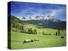 Italy, South Tyrol, Rose Garden Area, Nova Levante, Geiger Alm Rosengarten Group-Udo Siebig-Stretched Canvas