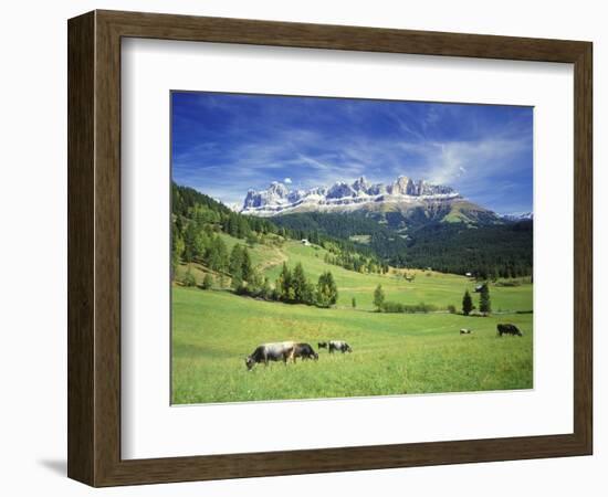 Italy, South Tyrol, Rose Garden Area, Nova Levante, Geiger Alm Rosengarten Group-Udo Siebig-Framed Photographic Print