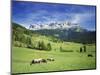 Italy, South Tyrol, Rose Garden Area, Nova Levante, Geiger Alm Rosengarten Group-Udo Siebig-Mounted Photographic Print