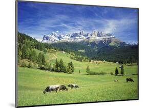 Italy, South Tyrol, Rose Garden Area, Nova Levante, Geiger Alm Rosengarten Group-Udo Siebig-Mounted Photographic Print