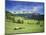 Italy, South Tyrol, Rose Garden Area, Nova Levante, Geiger Alm Rosengarten Group-Udo Siebig-Mounted Photographic Print