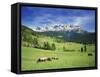 Italy, South Tyrol, Rose Garden Area, Nova Levante, Geiger Alm Rosengarten Group-Udo Siebig-Framed Stretched Canvas