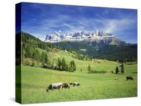 Italy, South Tyrol, Rose Garden Area, Nova Levante, Geiger Alm Rosengarten Group-Udo Siebig-Stretched Canvas