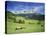 Italy, South Tyrol, Rose Garden Area, Nova Levante, Geiger Alm Rosengarten Group-Udo Siebig-Stretched Canvas