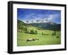 Italy, South Tyrol, Rose Garden Area, Nova Levante, Geiger Alm Rosengarten Group-Udo Siebig-Framed Photographic Print