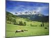 Italy, South Tyrol, Rose Garden Area, Nova Levante, Geiger Alm Rosengarten Group-Udo Siebig-Mounted Photographic Print