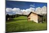 Italy, South-Tyrol, Rose-Garden, Mountain Hut, Mountain-Meadow, Mountain Scenery, Nature-Rainer Mirau-Mounted Photographic Print