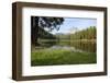 Italy, South Tyrol, the Dolomites, Drei Zinnen, Lake, Reflection-Alfons Rumberger-Framed Photographic Print