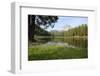 Italy, South Tyrol, the Dolomites, Drei Zinnen, Lake, Reflection-Alfons Rumberger-Framed Photographic Print