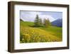 Italy, South Tyrol, the Dolomites, Geislerspitzen-Alfons Rumberger-Framed Photographic Print