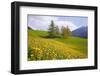 Italy, South Tyrol, the Dolomites, Geislerspitzen-Alfons Rumberger-Framed Photographic Print