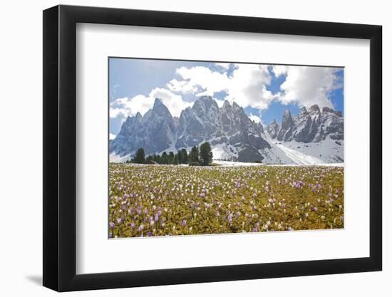 Italy, South Tyrol, the Dolomites, Geislerspitzen-Alfons Rumberger-Framed Photographic Print