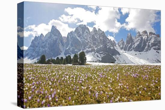 Italy, South Tyrol, the Dolomites, Geislerspitzen-Alfons Rumberger-Stretched Canvas