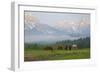 Italy, South Tyrol, the Dolomites, Kreuzbergpass, Nemesalm, Dreischusterspitze-Alfons Rumberger-Framed Photographic Print