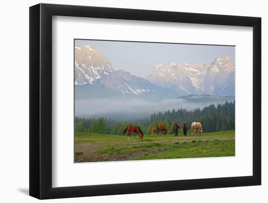 Italy, South Tyrol, the Dolomites, Kreuzbergpass, Nemesalm, Dreischusterspitze-Alfons Rumberger-Framed Photographic Print