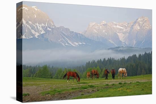 Italy, South Tyrol, the Dolomites, Kreuzbergpass, Nemesalm, Dreischusterspitze-Alfons Rumberger-Stretched Canvas