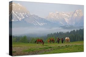 Italy, South Tyrol, the Dolomites, Kreuzbergpass, Nemesalm, Dreischusterspitze-Alfons Rumberger-Stretched Canvas