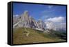 Italy, South Tyrol, the Dolomites, Passo Giau, Ra Gusela, Tofana-Alfons Rumberger-Framed Stretched Canvas