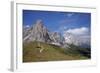 Italy, South Tyrol, the Dolomites, Passo Giau, Ra Gusela, Tofana-Alfons Rumberger-Framed Photographic Print