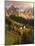 Italy, South Tyrol, Villn?Tal, St. Magdalena, Church, Mountains, 'Geislerspitzen', Autumn-Thonig-Mounted Photographic Print