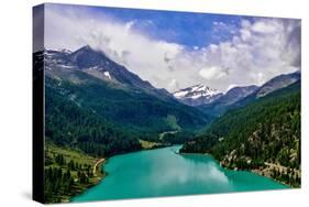 Italy, Stelvio National Park, Val Martello (Martello Valley) artificial lake-Michele Molinari-Stretched Canvas