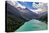 Italy, Stelvio National Park, Val Martello (Martello Valley) artificial lake-Michele Molinari-Stretched Canvas