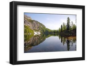 Italy, the Dolomites, South Tyrol, Cortina D'Ampezzo, Lago Di Federa, Trees, Reflection-Alfons Rumberger-Framed Photographic Print