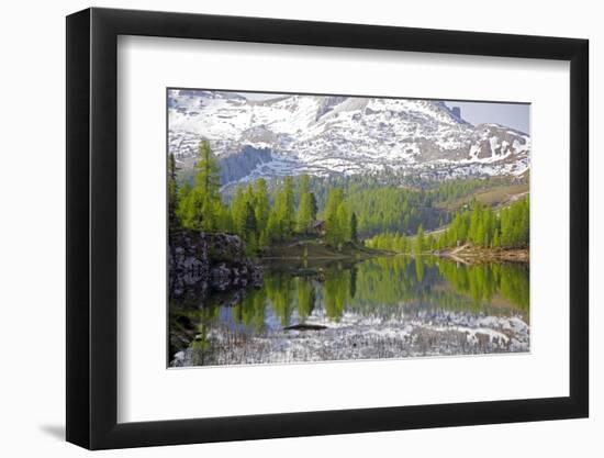 Italy, the Dolomites, South Tyrol, Cortina D'Ampezzo, Lago Federa, Reflexion-Alfons Rumberger-Framed Photographic Print