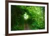 Italy, trail in the forest-Michele Molinari-Framed Photographic Print