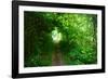 Italy, trail in the forest-Michele Molinari-Framed Photographic Print