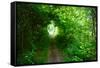 Italy, trail in the forest-Michele Molinari-Framed Stretched Canvas