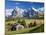 Italy, Trentino-Alto Adige, South Tyrol, Bolzano District, Alpe Di Siusi, Seiser Alm, Sassolungo (L-Peter Adams-Mounted Photographic Print