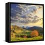 Italy, Trentino Alto Adige-Michele Falzone-Framed Stretched Canvas
