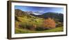 Italy, Trentino Alto Adige-Michele Falzone-Framed Photographic Print