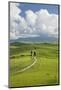 Italy, Tuscany. a Country Road Meanders Through Rolling Hills of Wheat Below Pienza-Brenda Tharp-Mounted Photographic Print