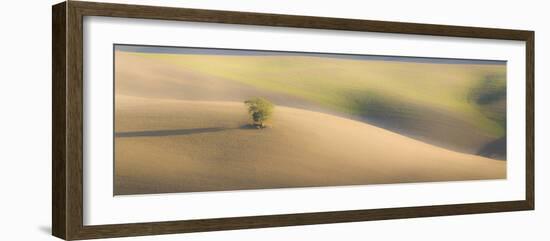 Italy, Tuscany. A lone tree in the Tuscan countryside.-Julie Eggers-Framed Photographic Print