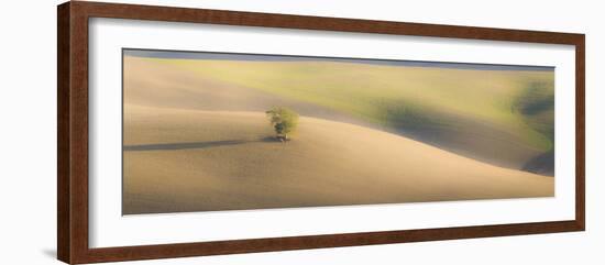 Italy, Tuscany. A lone tree in the Tuscan countryside.-Julie Eggers-Framed Photographic Print