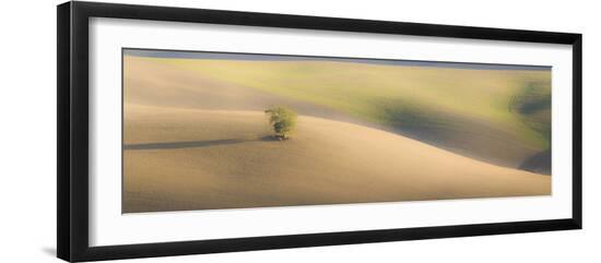 Italy, Tuscany. A lone tree in the Tuscan countryside.-Julie Eggers-Framed Photographic Print