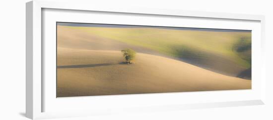 Italy, Tuscany. A lone tree in the Tuscan countryside.-Julie Eggers-Framed Photographic Print