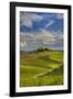 Italy, Tuscany. A view of the vineyards and villa in Chianti region of Tuscany, Italy.-Julie Eggers-Framed Photographic Print