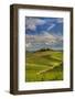 Italy, Tuscany. A view of the vineyards and villa in Chianti region of Tuscany, Italy.-Julie Eggers-Framed Photographic Print