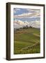 Italy, Tuscany. A view of the vineyards and villa in Chianti region of Tuscany, Italy.-Julie Eggers-Framed Photographic Print