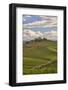 Italy, Tuscany. A view of the vineyards and villa in Chianti region of Tuscany, Italy.-Julie Eggers-Framed Photographic Print