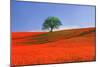 Italy, Tuscany. Abstract of oak tree on red flower-covered hillside-Jaynes Gallery-Mounted Photographic Print