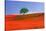Italy, Tuscany. Abstract of oak tree on red flower-covered hillside-Jaynes Gallery-Stretched Canvas