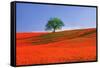 Italy, Tuscany. Abstract of oak tree on red flower-covered hillside-Jaynes Gallery-Framed Stretched Canvas