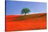 Italy, Tuscany. Abstract of oak tree on red flower-covered hillside-Jaynes Gallery-Stretched Canvas