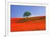Italy, Tuscany. Abstract of oak tree on red flower-covered hillside-Jaynes Gallery-Framed Premium Photographic Print