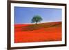 Italy, Tuscany. Abstract of oak tree on red flower-covered hillside-Jaynes Gallery-Framed Premium Photographic Print