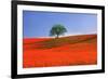 Italy, Tuscany. Abstract of oak tree on red flower-covered hillside-Jaynes Gallery-Framed Premium Photographic Print